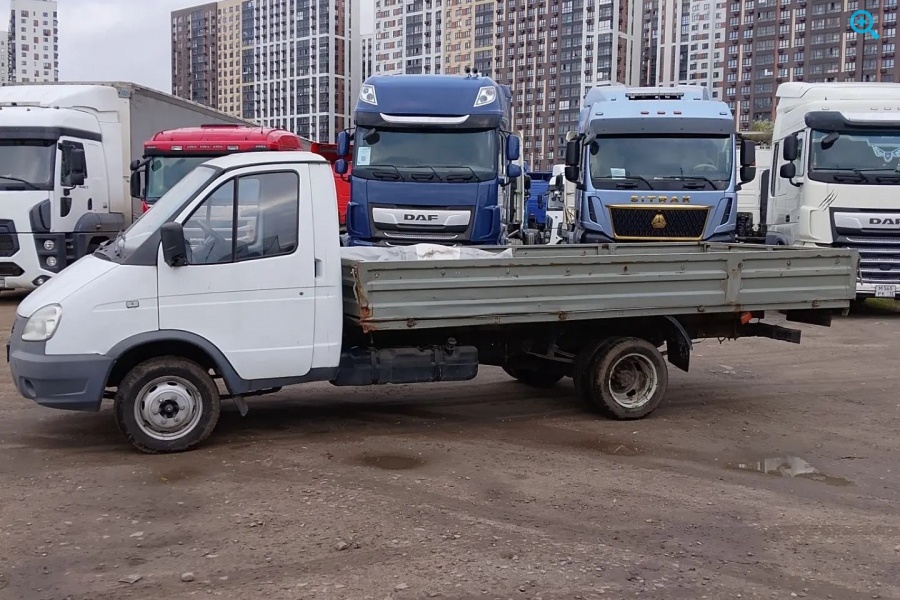 Газель 3009D3