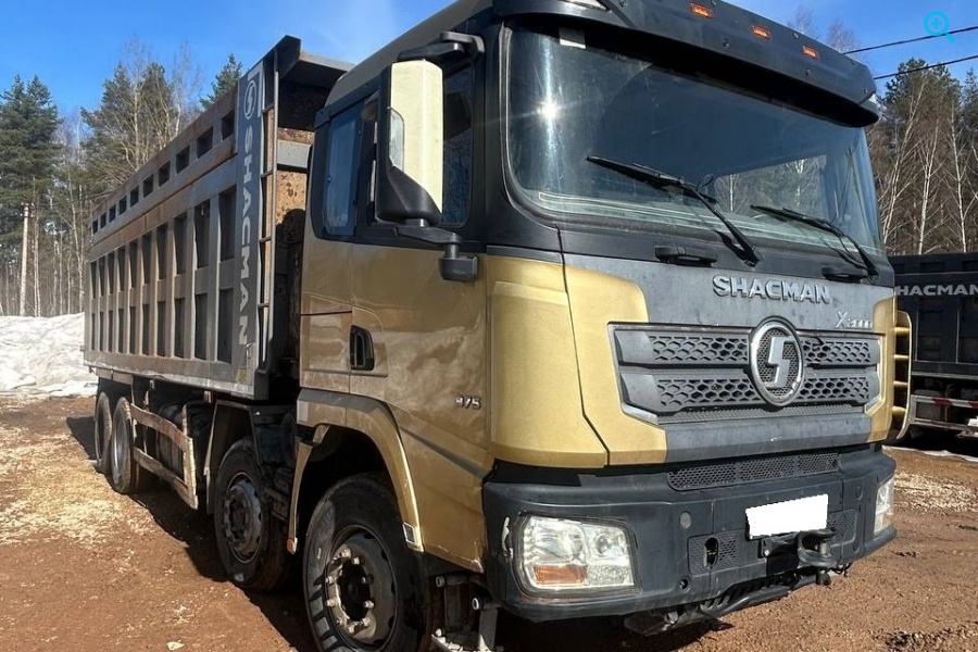 SHACMAN X3000 (SX33186T366)