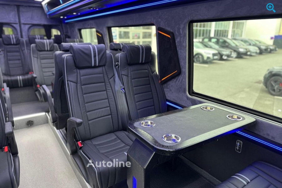 Mercedes-Benz Sprinter 519 VIP