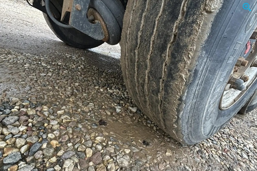 GUTEWOLF (HASTREILER)