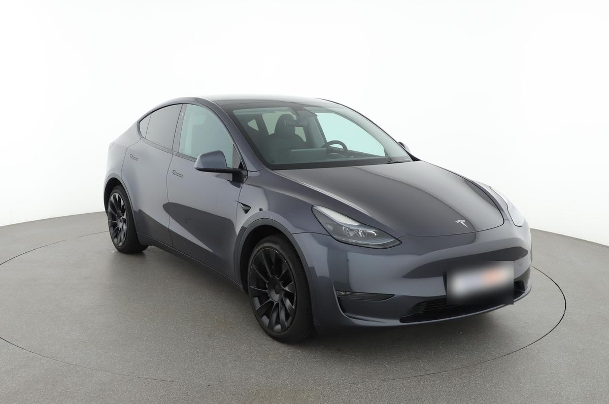 Tesla Model Y Max Range Dual AWD, фото 7