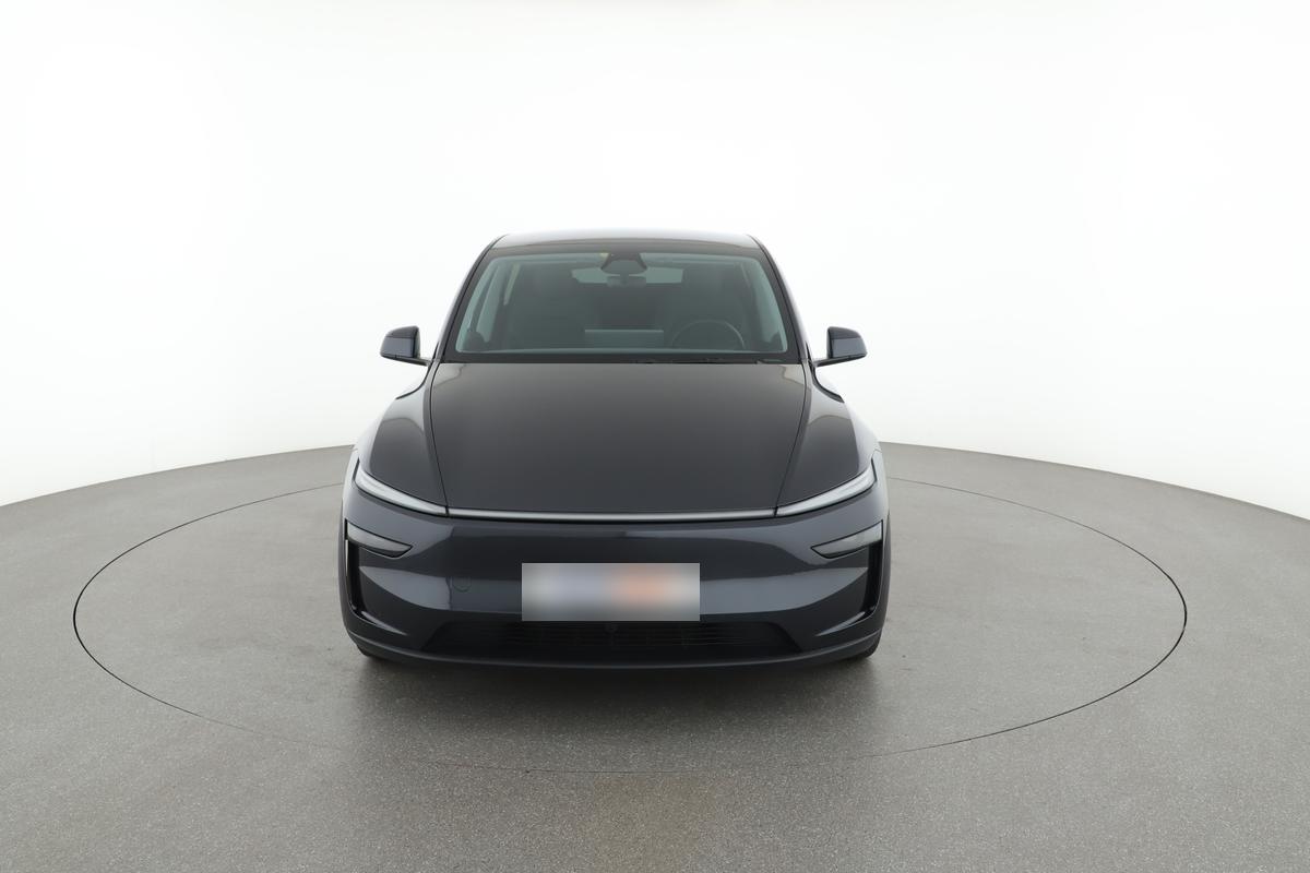Tesla Model Y Long Range Dual AWD Premium, фото 8