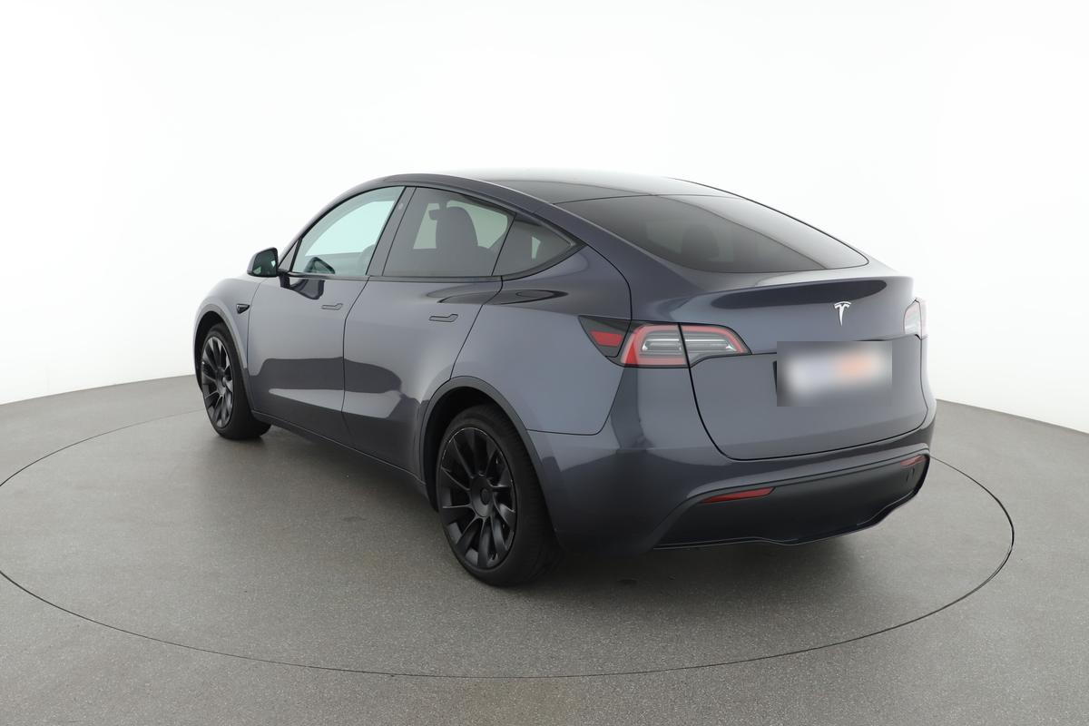 Tesla Model Y Max Range Dual AWD, фото 3