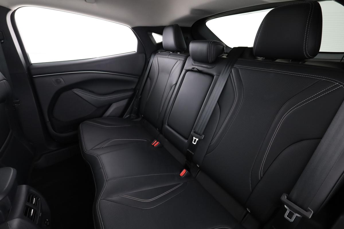 Ford Mustang Mach-E, фото 13