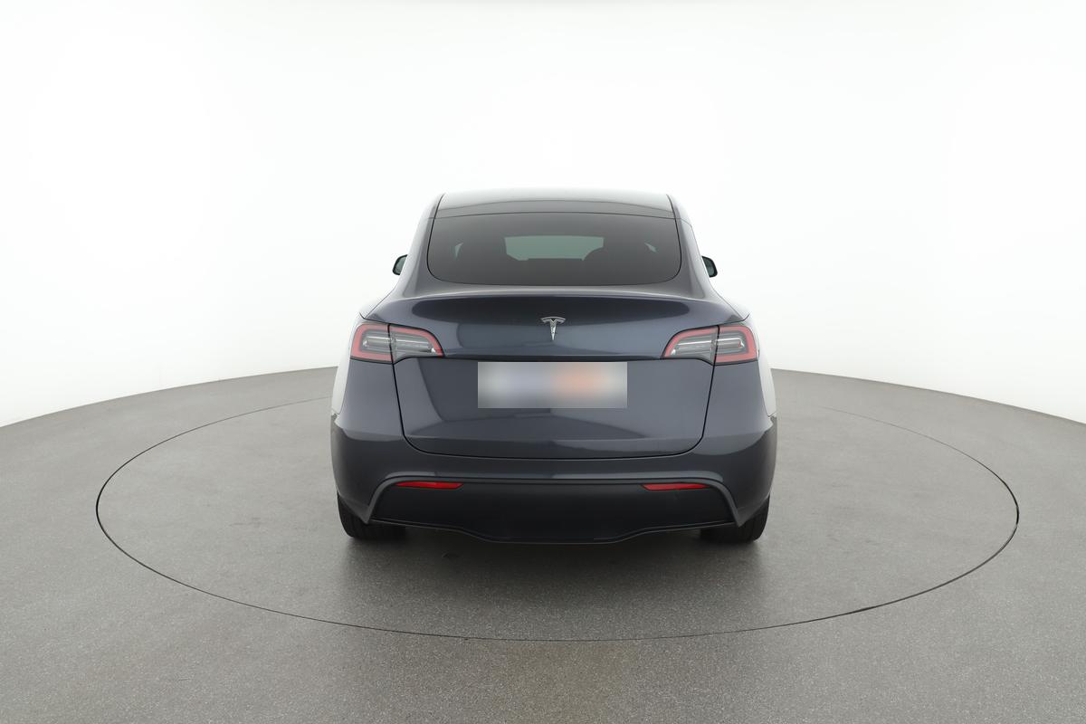 Tesla Model Y Max Range Dual AWD, фото 4