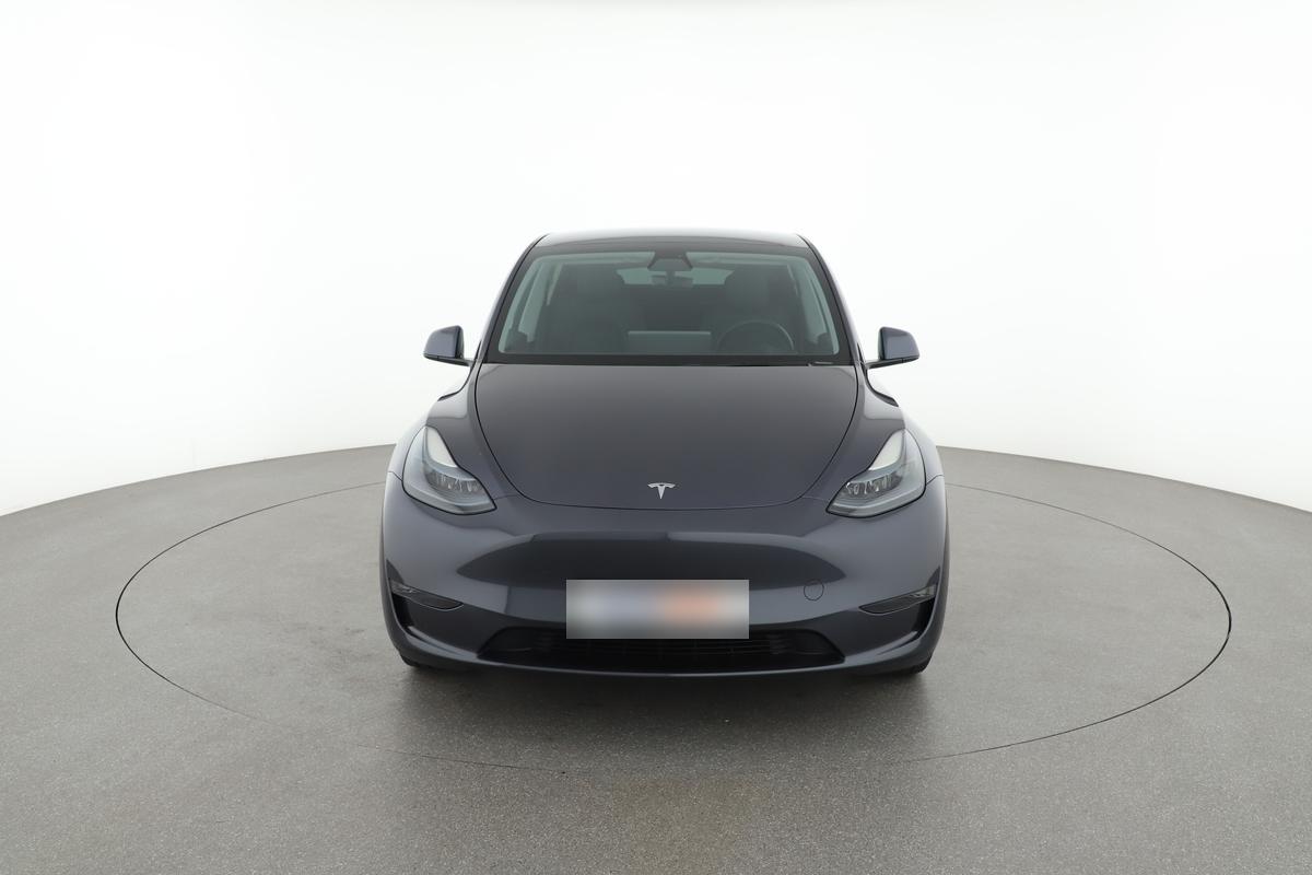 Tesla Model Y Max Range Dual AWD, фото 8