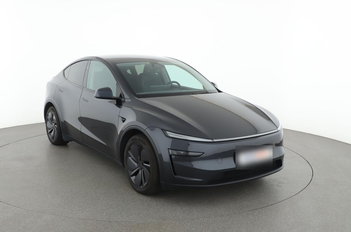 Tesla Model Y Long Range Dual AWD Premium, фото 7