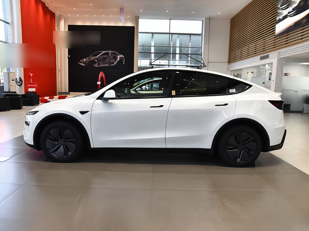 Tesla Model Y RWD, фото 4