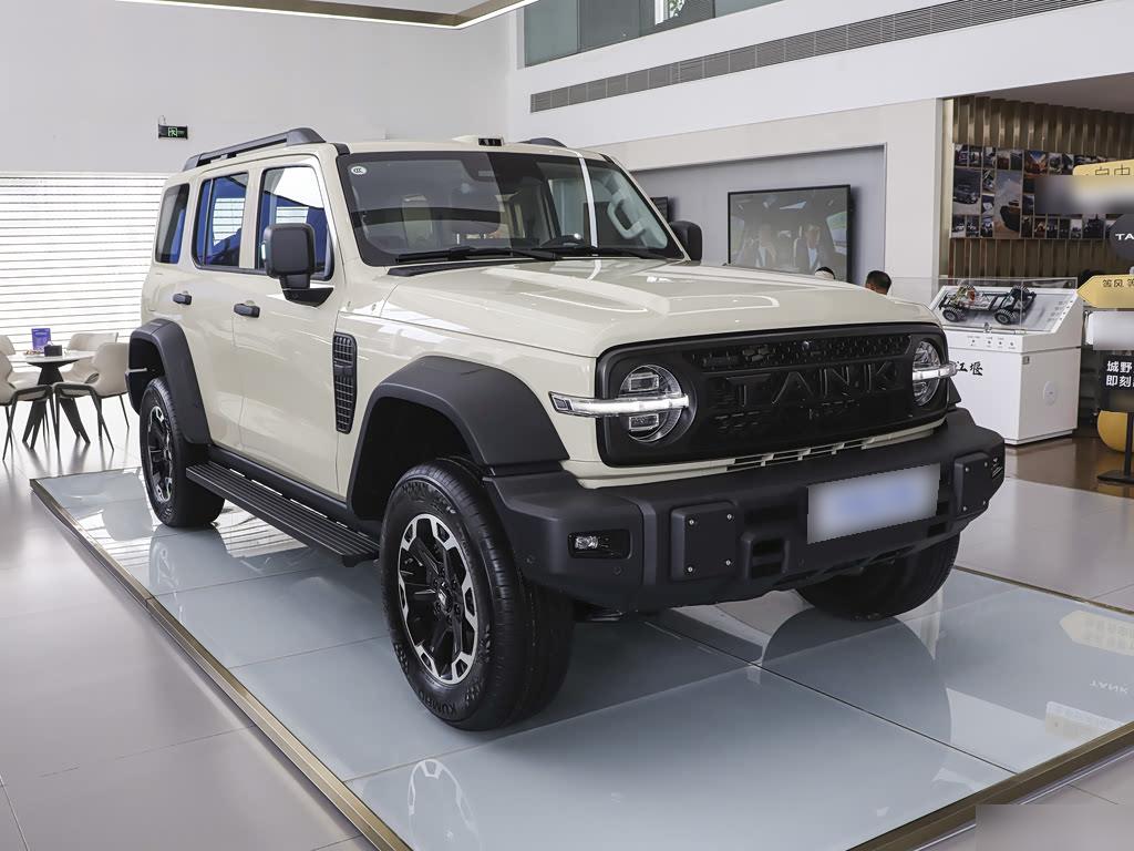 Tank 300L NEV Hi4-T, фото 3