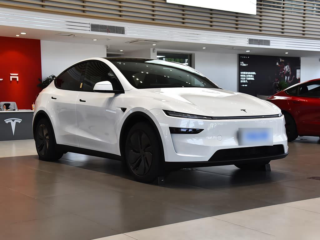 Tesla Model Y RWD, фото 3