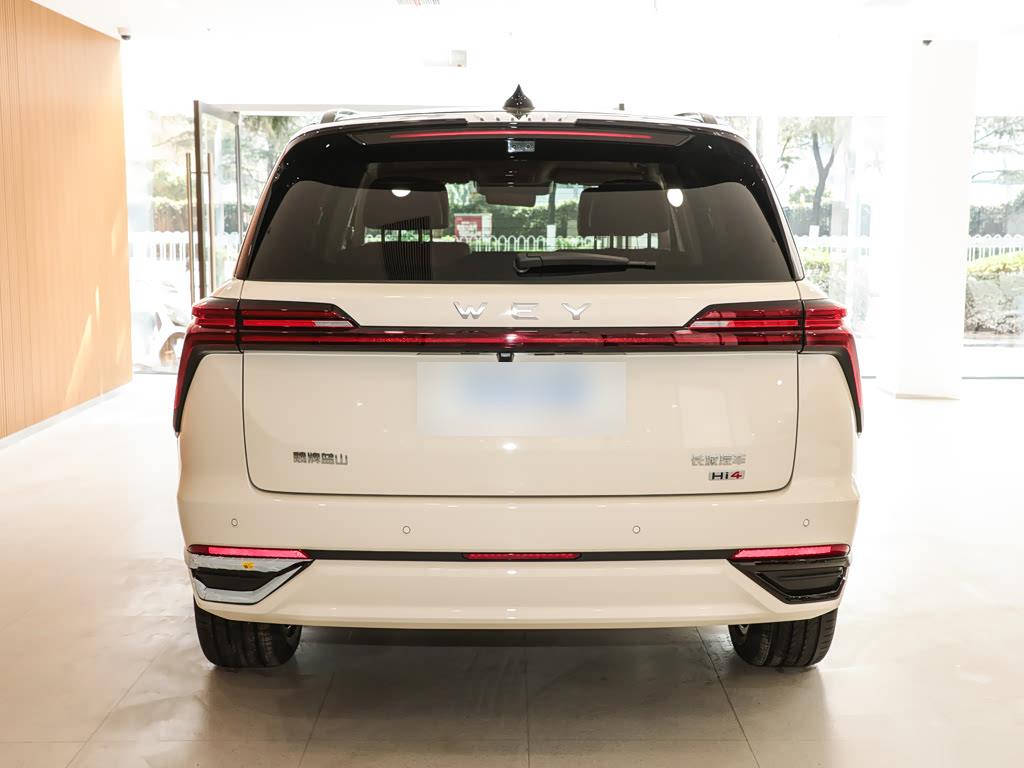 WEY Lanshan Advanced AWD Max, фото 6