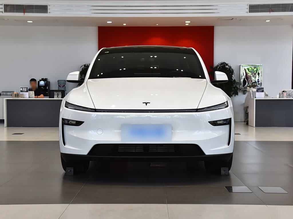 Tesla Model Y RWD, фото 2