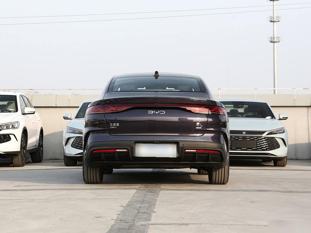 BYD Qin L DM-i ADAS 120 km, фото 7