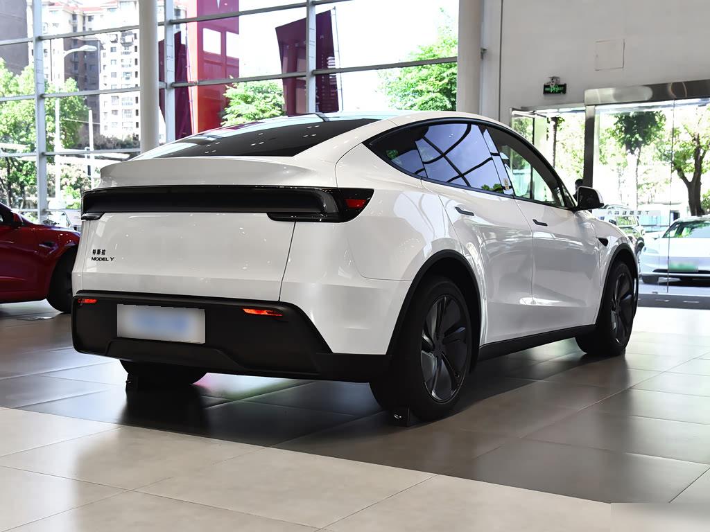 Tesla Model Y RWD, фото 6