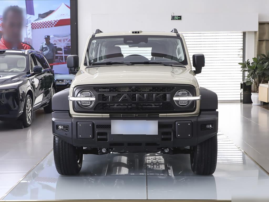 Tank 300L NEV Hi4-T, фото 2
