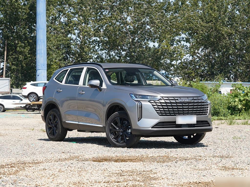 Haval H6 1.5T 2WD Pro, фото 4