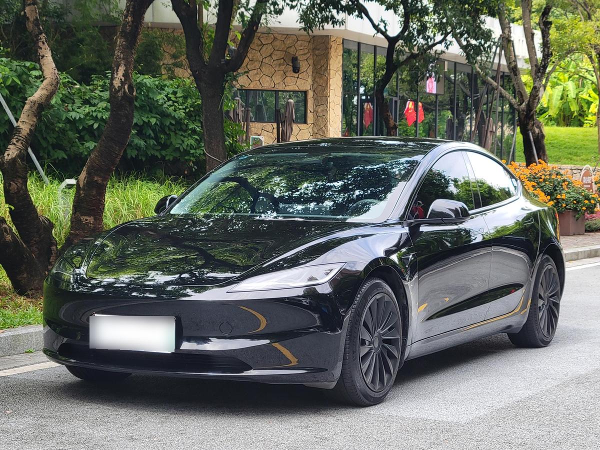 Tesla Model 3 RWD