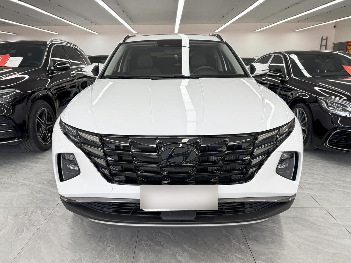 Hyundai Tucson L1.5T DLX 2WD Luxury, фото 2