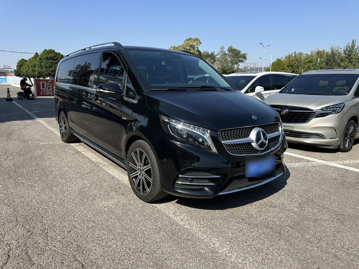Mercedes-Benz V-Class V 260 L Luxury, фото 2