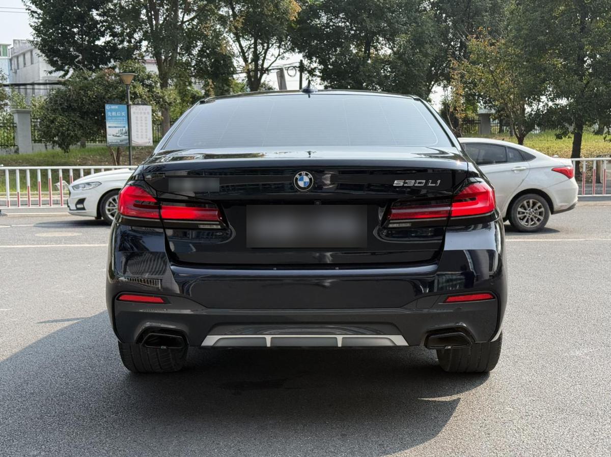 BMW 5 Series 530Li M Sport, фото 6