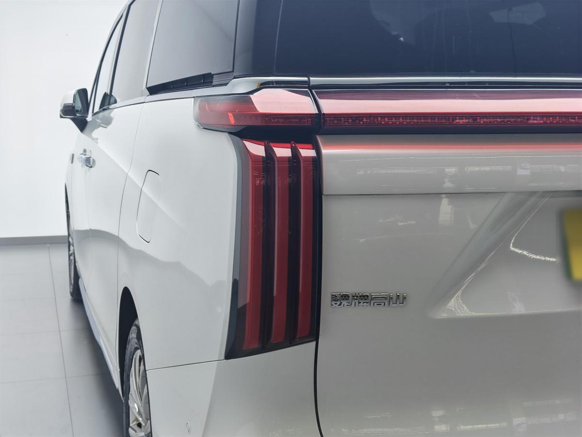 WEY Gaoshan PHEV AWD Flagship, фото 20
