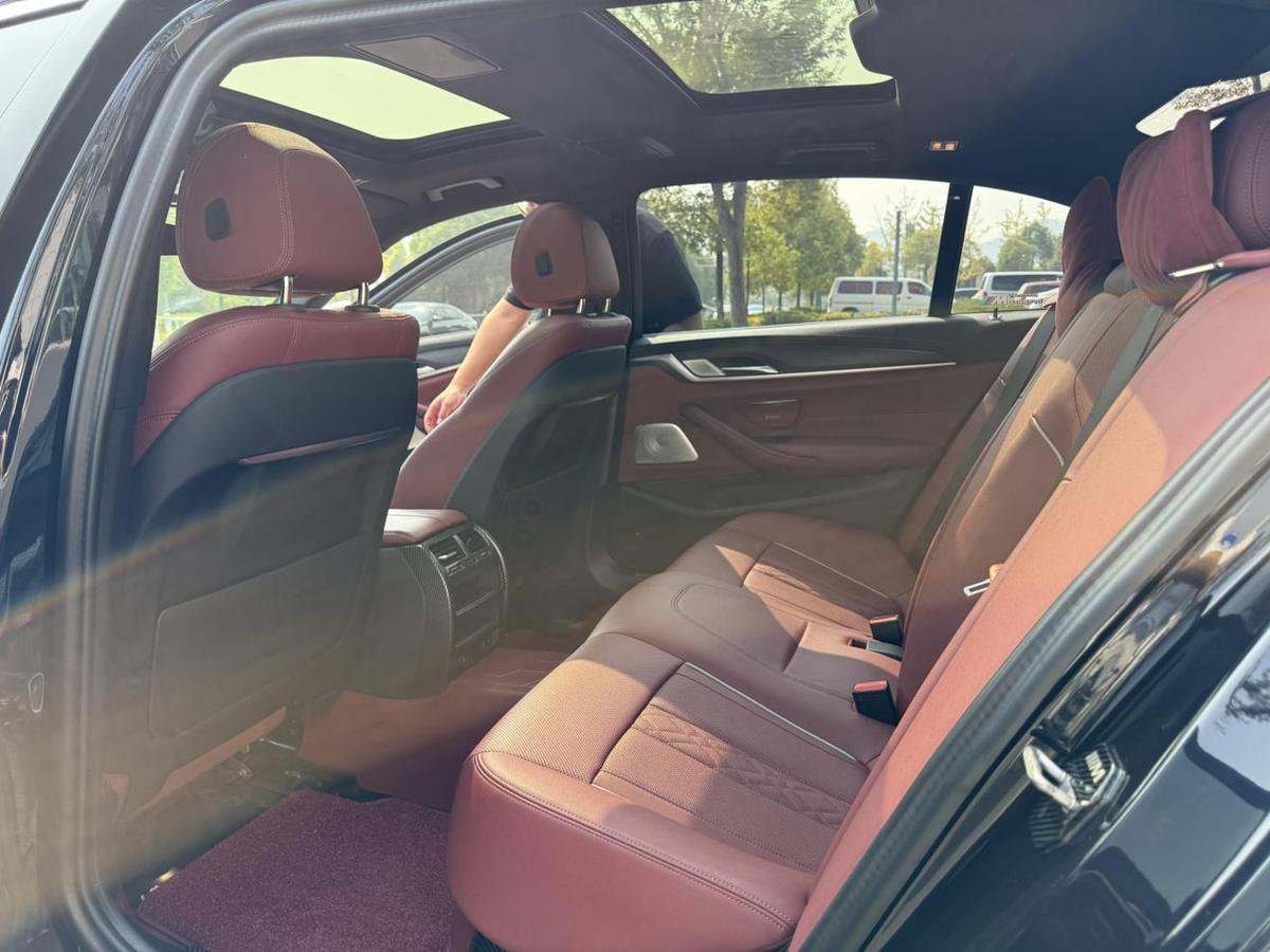 BMW 5 Series 530Li M Sport, фото 9