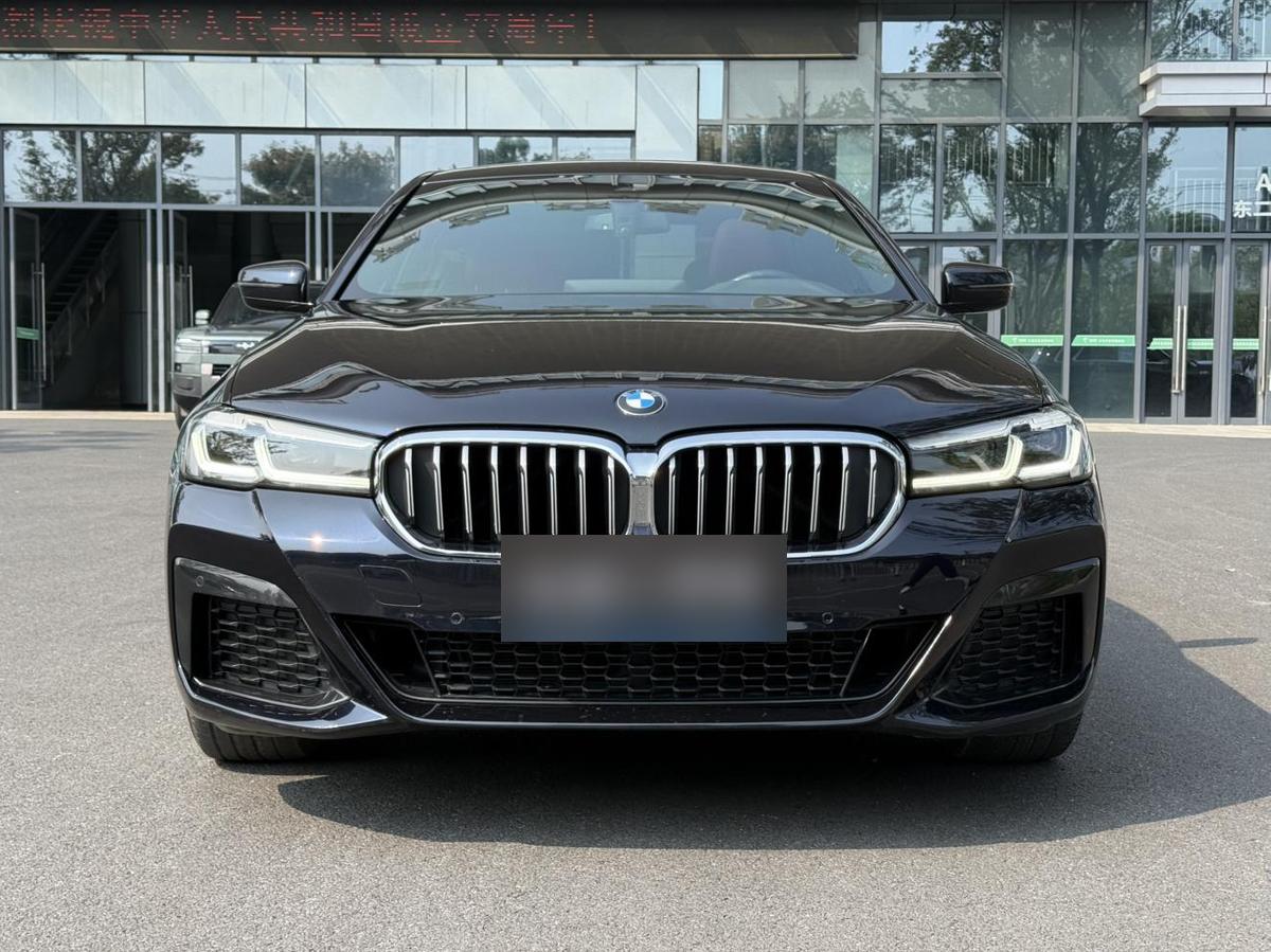 BMW 5 Series 530Li M Sport, фото 2