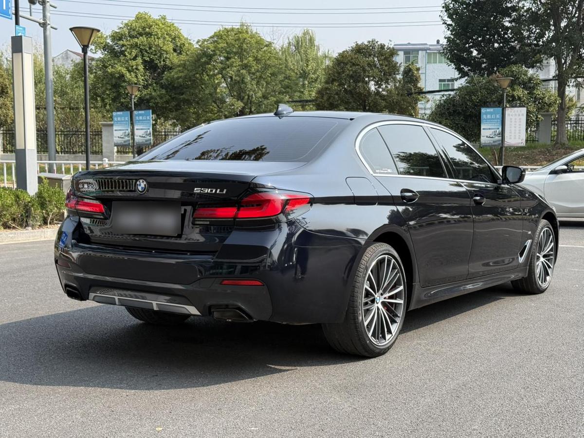BMW 5 Series 530Li M Sport, фото 5