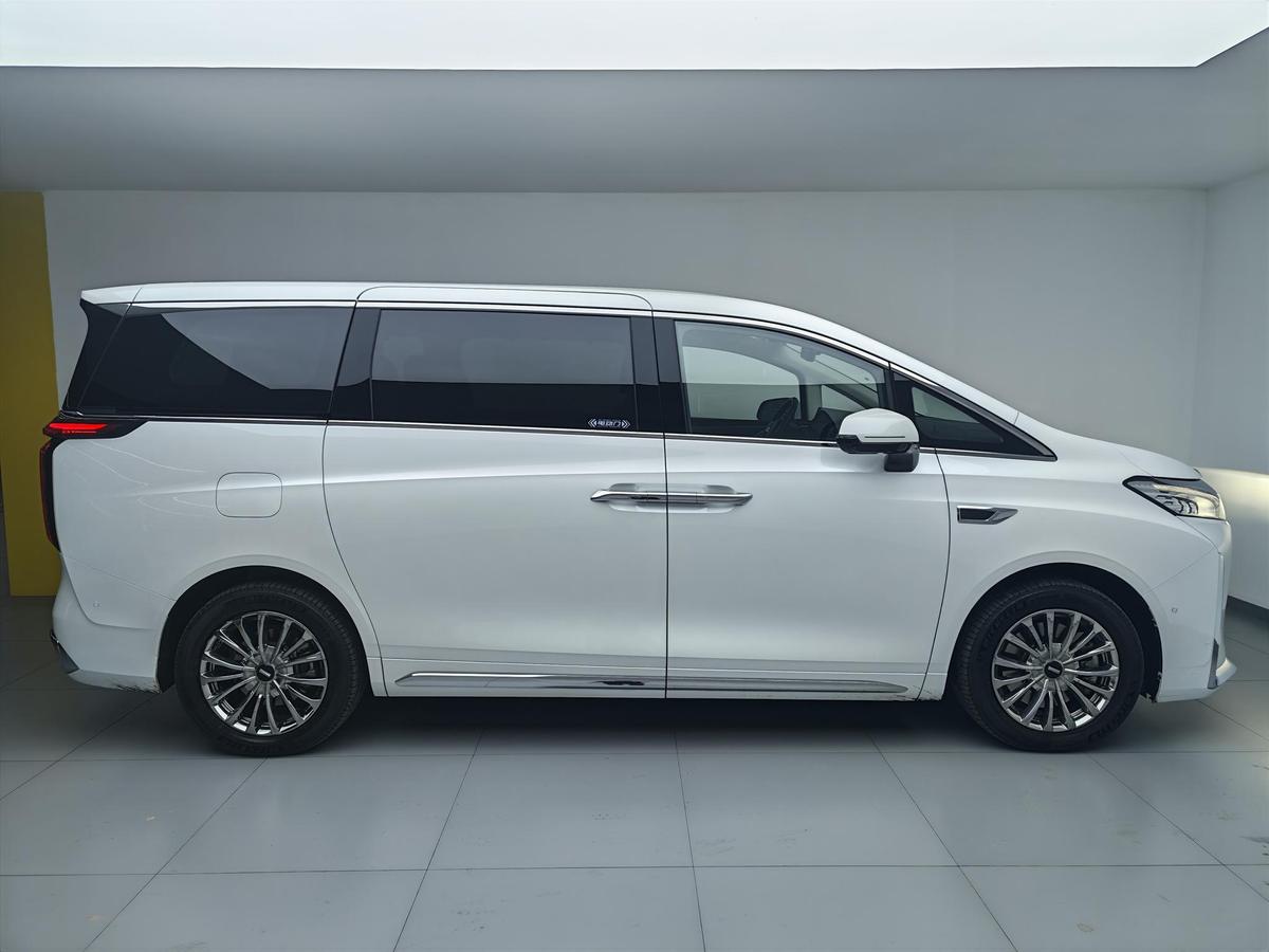 WEY Gaoshan PHEV AWD Flagship, фото 8