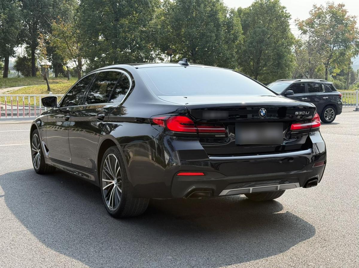 BMW 5 Series 530Li M Sport, фото 7