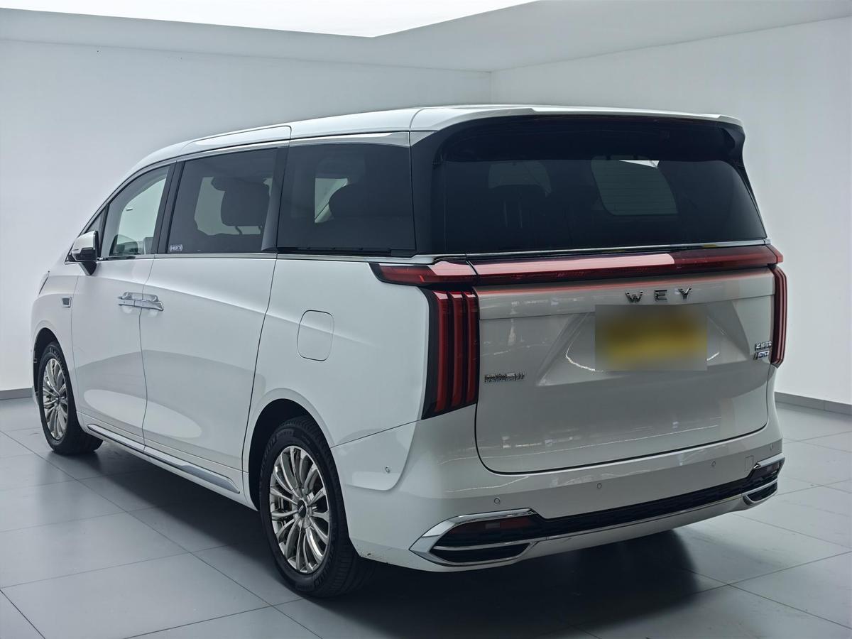WEY Gaoshan PHEV AWD Flagship, фото 5