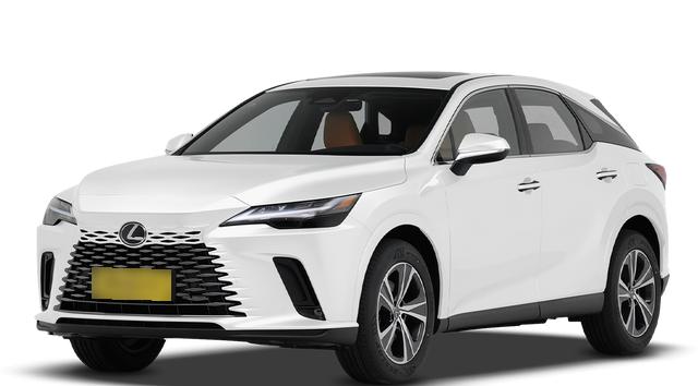 Lexus RX 300 AWD, фото 2