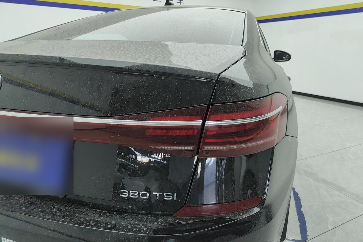 Volkswagen Passat 380TSI, фото 8