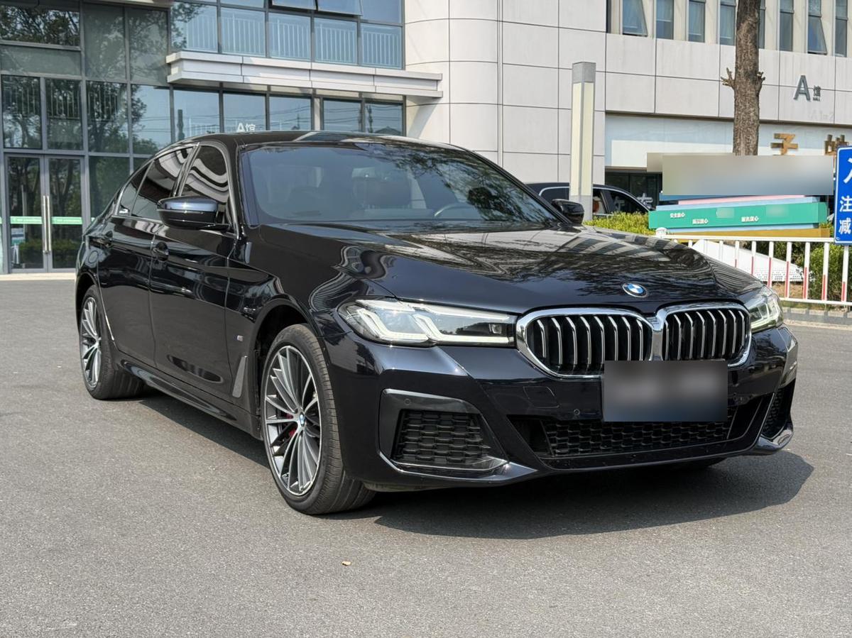 BMW 5 Series 530Li M Sport, фото 3
