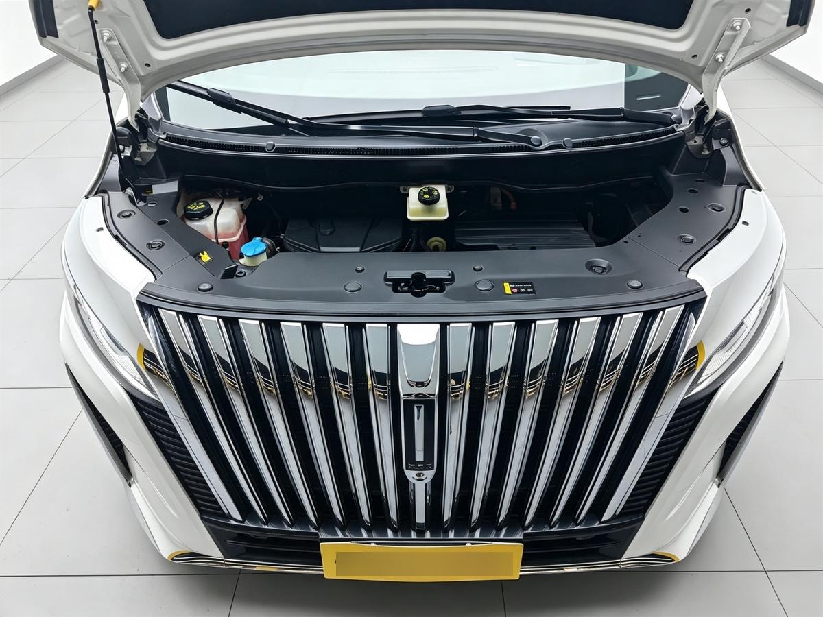 WEY Gaoshan PHEV AWD Flagship, фото 17