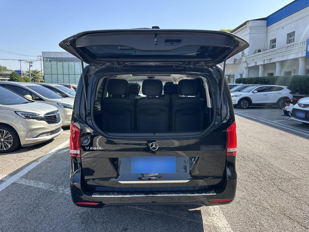 Mercedes-Benz V-Class V 260 L Luxury, фото 4